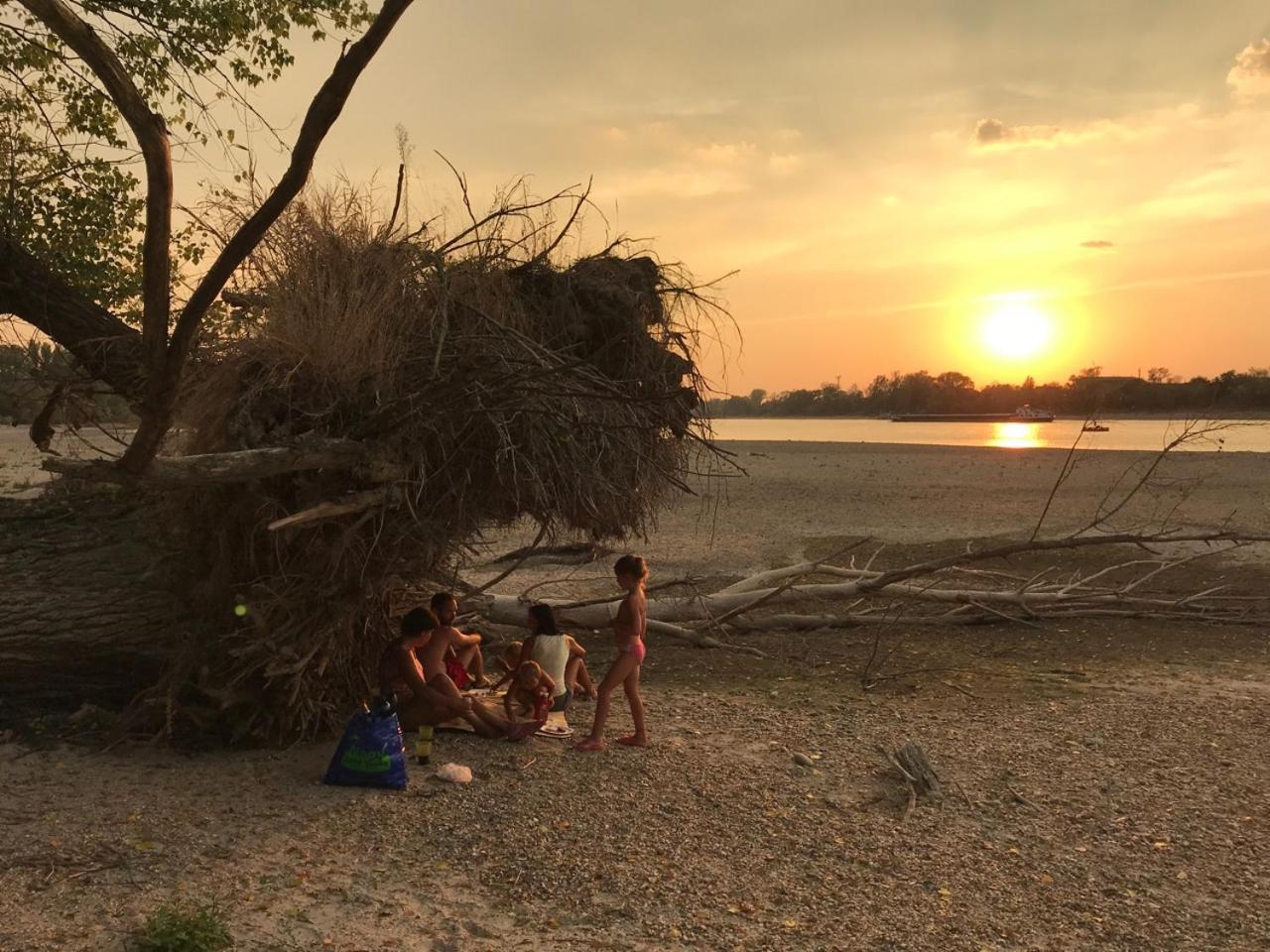 Tobo House Along The River Danube Radvaň nad Dunajom 외부 사진
